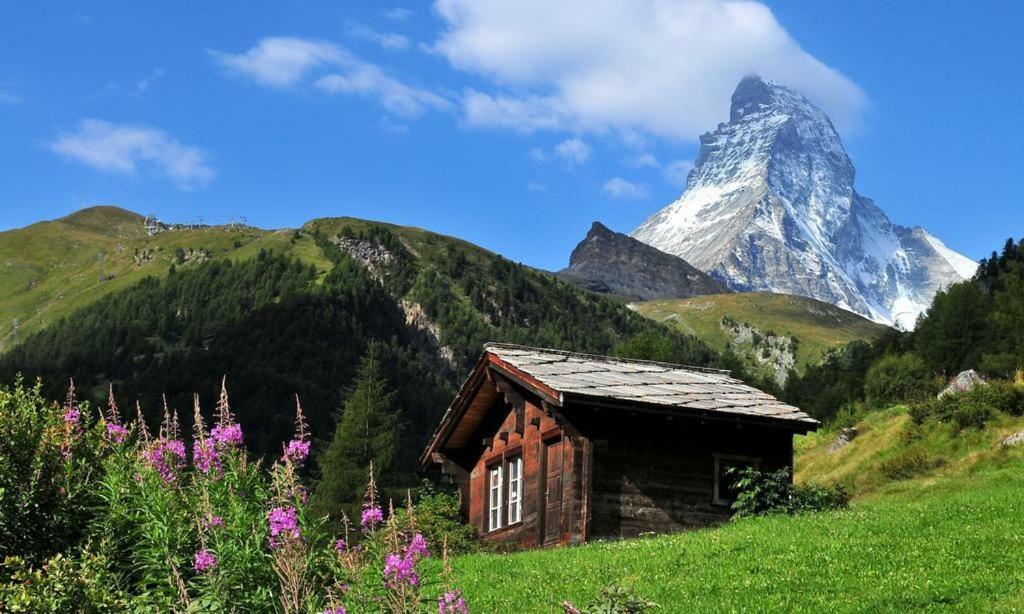 Residence "Les Cretes" Torgon Экстерьер фото